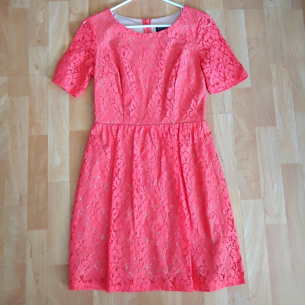 Floral Lace Dress by Enfocus Petite